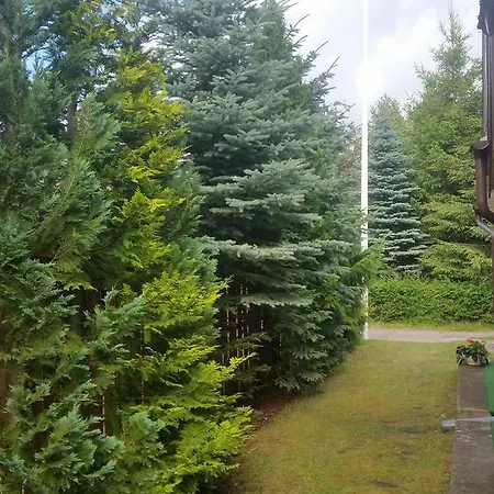 Privatunterkunft Dw Miami Leba